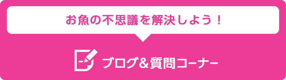 ブログ&質問コーナー